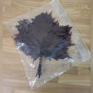 REAL MAPLE LEAVES Preserved Maple Leaves,Autumn Fall Decor Decoration